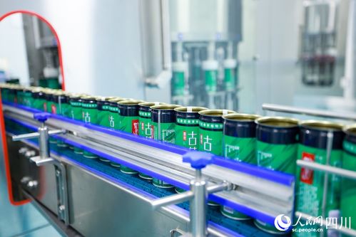 四川古藺 青葉變 金葉 神仙草 成就富民產業(yè)