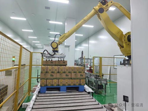 總投資6億元 外國(guó)友人來(lái)到福清這個(gè)科技產(chǎn)業(yè)園