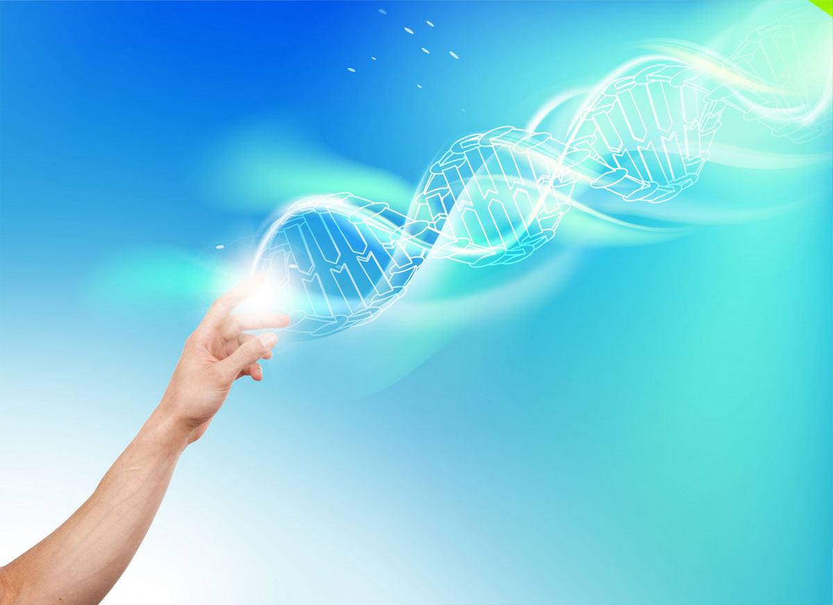 黃石市艾恩斯生物科技公司簡(jiǎn)介