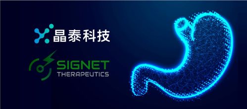 晶泰科技攜手希格生科，推動彌漫性胃癌項目獲重大進展