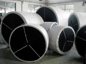 佳木斯食品輸送帶